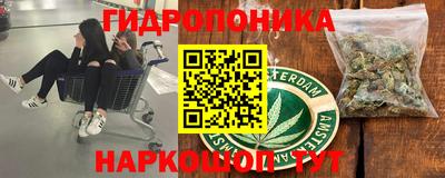 мяу мяу мука Будённовск
