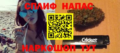 мяу мяу мука Будённовск