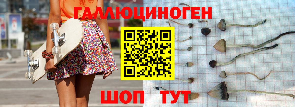 что такое   Вход с VPN  Шадринск  Псилоцибиновые грибы мухоморы  Псилоцибиновые грибы прущие грибы 